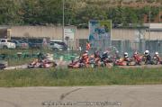DSC_0382 (2)